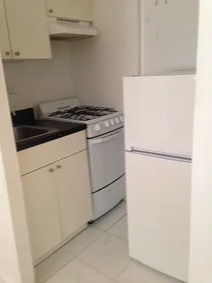 Rented by Manhattan Apartment Organization | media 3