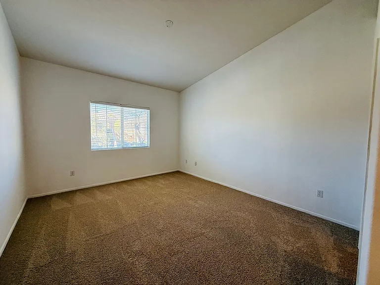 352 Pine Haven St #206 — Photo 14