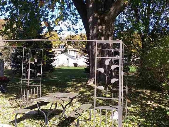 Established trees in yard