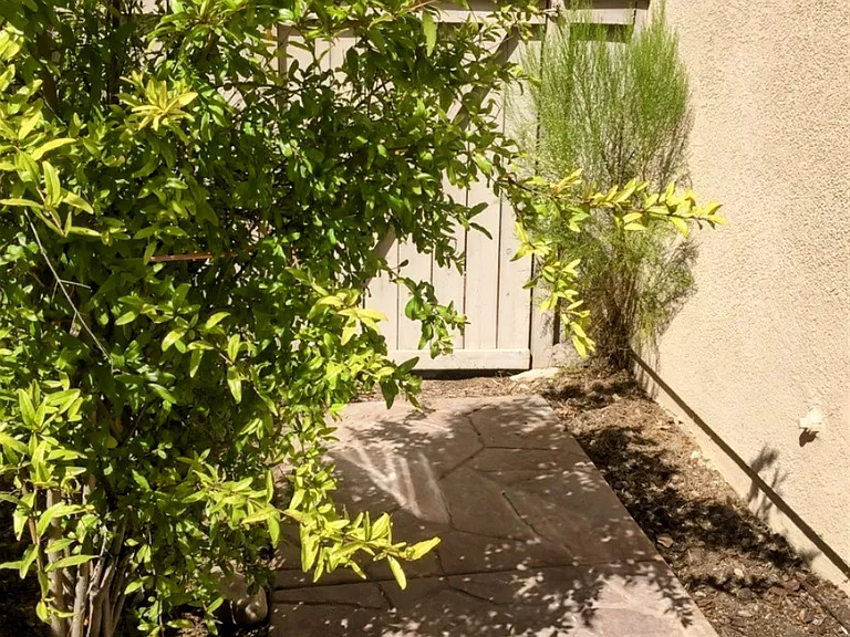 10430 Scripps Poway Pkwy #110 — Photo 14