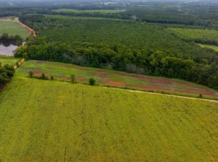 0 Wh Smith Sr Rd TRACT 8, Statesboro, GA 30458