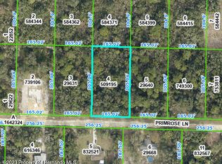 0 Primrose Ln, Webster, FL 33597