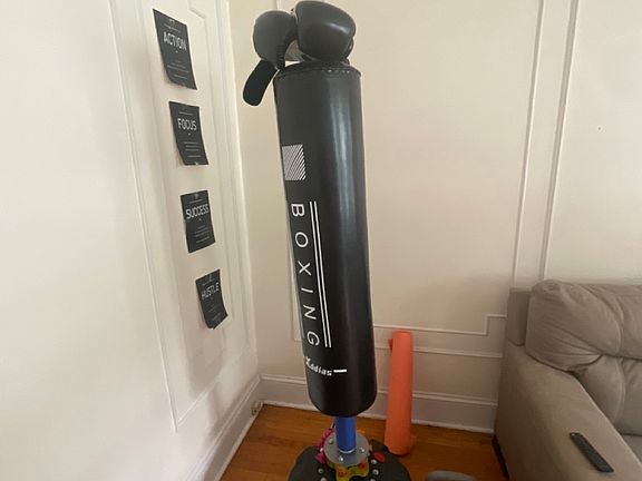 3rd image of 470B Ontario St #1