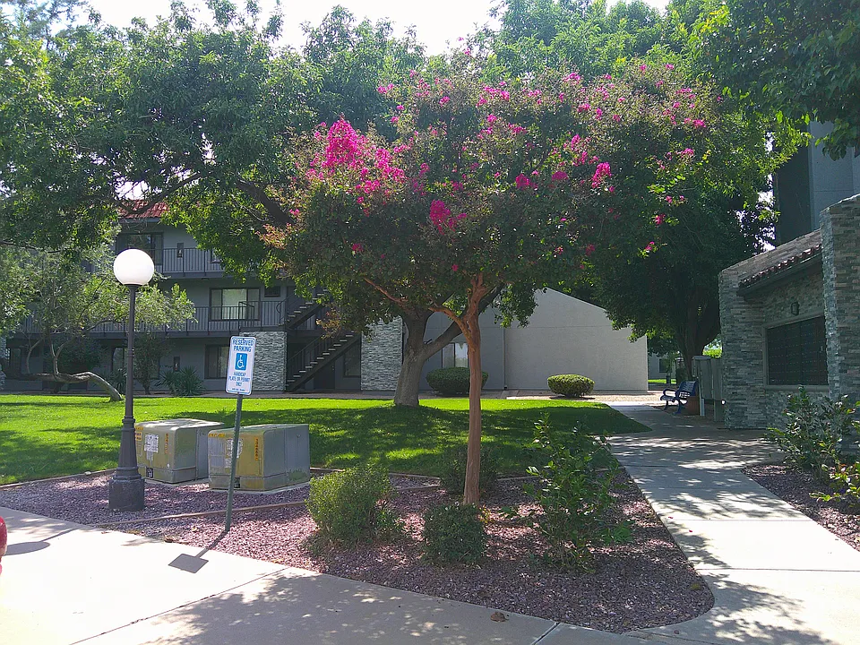 PROPERTY ENTRY AREA