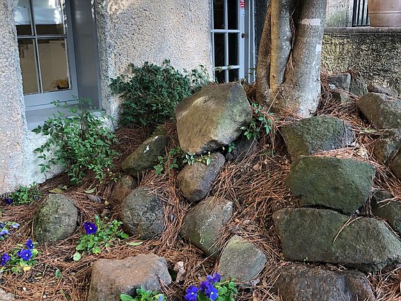 Rock Garden on right of door