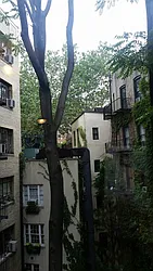 Rented by Keller Williams NYC