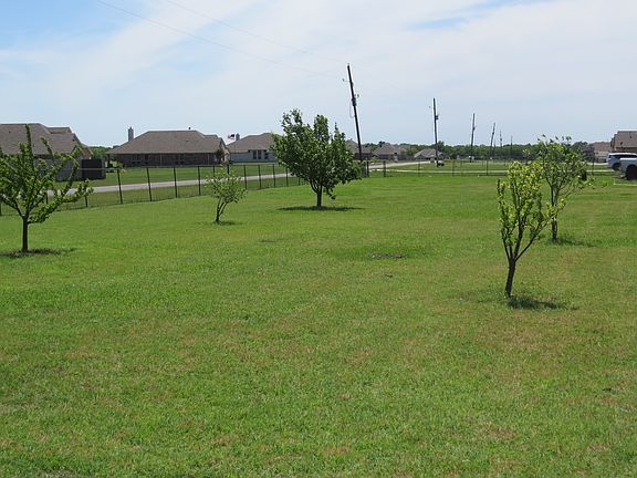 5 fruit trees