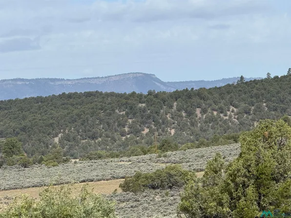 U 3 T 4 Talavera Rd, Tierra Amarilla, NM 87575