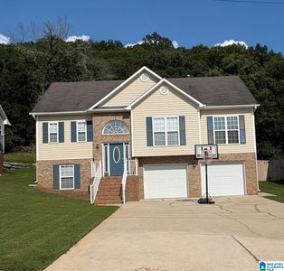 1792 Annendale Dr, Birmingham, AL, 35235