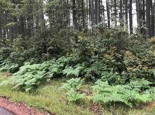 9107 Eckenstam Johnson Rd, Anderson Island, WA 98303