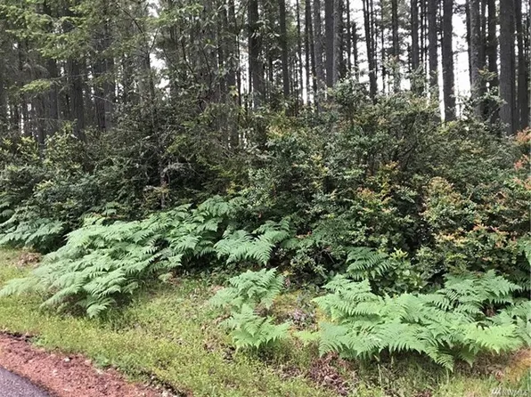 9107 Eckenstam Johnson Rd, Anderson Island, WA 98303