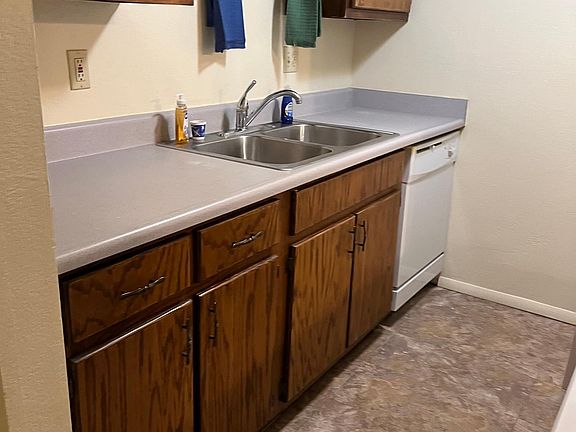 Kitchen including the dishwasher