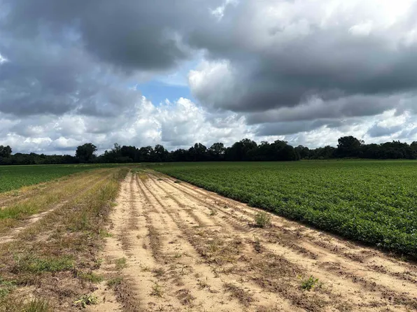 Hardaway Hwy, Gretna, FL 32332