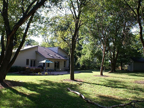 park-like backyard