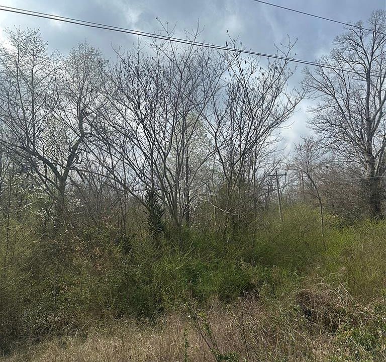 2nd image of 0 W Summit St