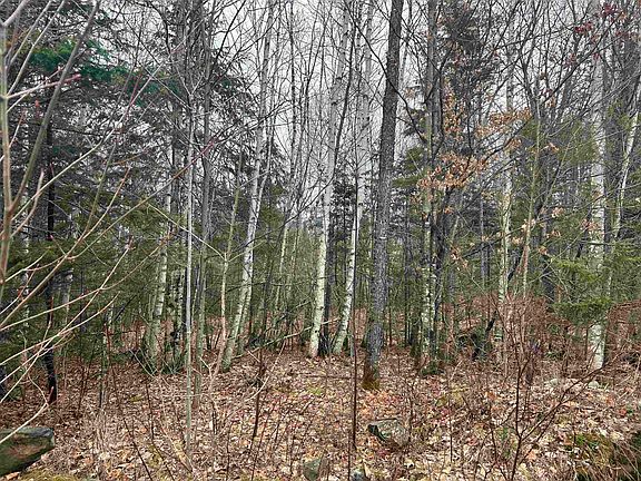 5th image of Lot 15 Holbrook Hill Road