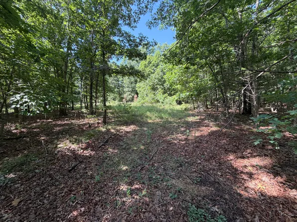 000 Golden Trail #77, Raymondville, MO 65555