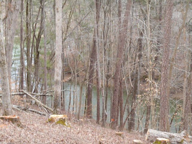 Waterfront lot with $50 HOA 
