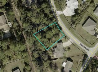 3 White Stone Pl, Palm Coast, FL 32164