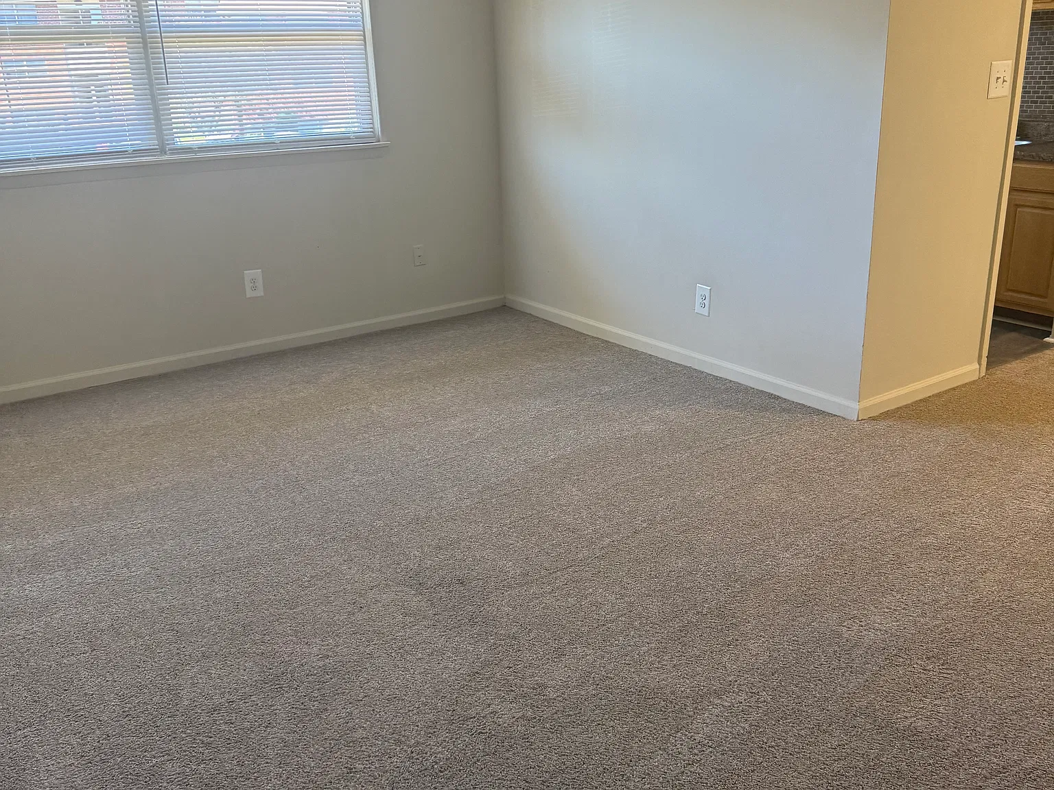 1 bed, 700 sqft, $1,139 — Photo 4