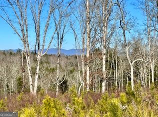 LOT 4 High River Rd, Ellijay, GA 30540