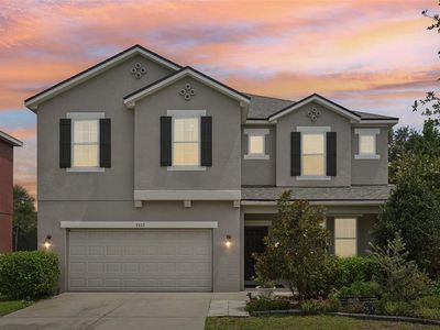 7722 Tangle Rush Dr, Gibsonton, FL, 33534