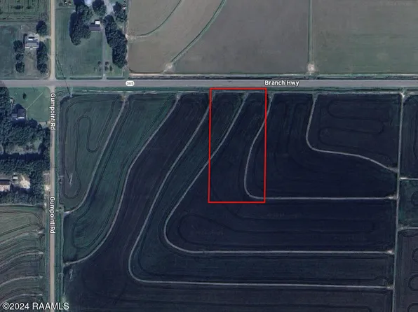0 Branch Hwy Lot 4, Branch, LA 70516