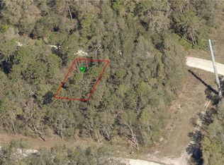 Schaub Ave, Orange City, FL 32763