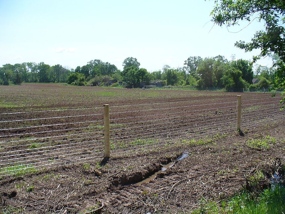 2nd image of 59 Springhill Rd