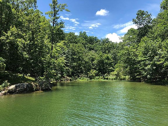 Cove View from Boat