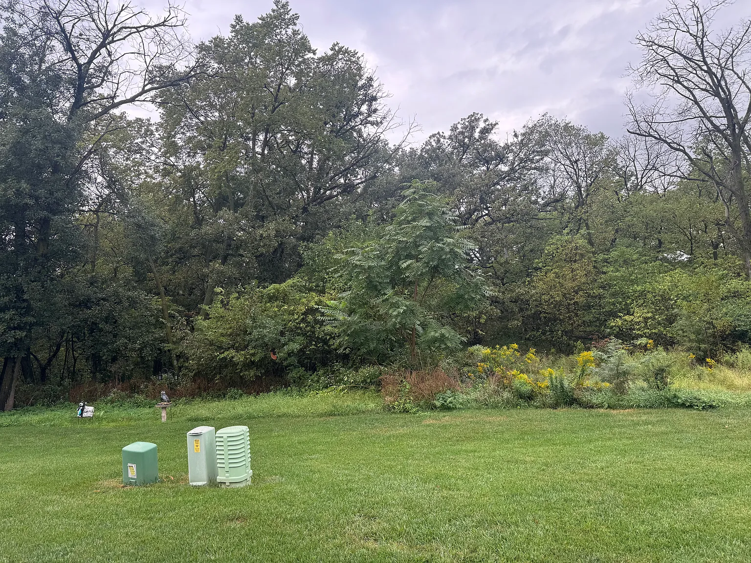 2 bed, 1200 sqft, $1,900 — Photo 3