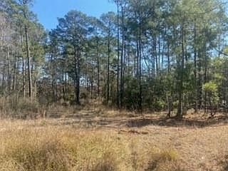 5th image of 1513 Cheyenne Loop