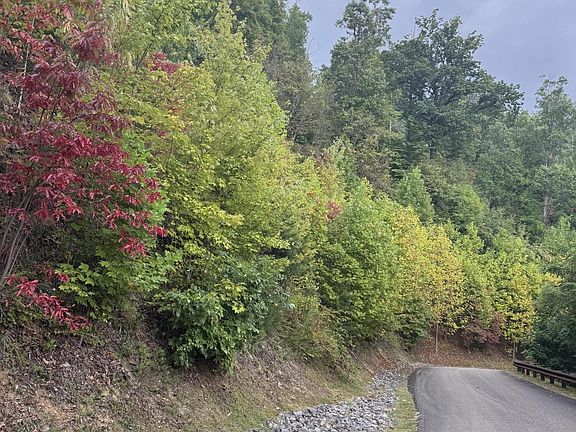 4th image of 0 Enclave Park Way Lot 49