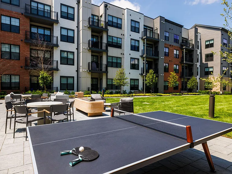 Aster Grove — Photo 43