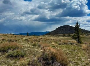 230 Castle Circle, Powderhorn, CO 81243