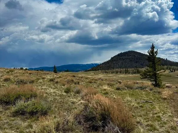 230 Castle Circle, Powderhorn, CO 81243