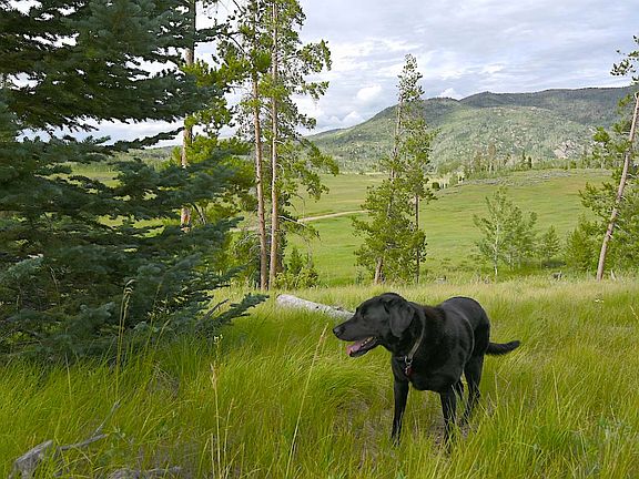 2nd image of 33170 Wenatchi Trail