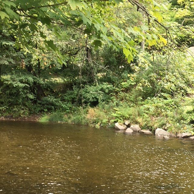 2nd image of 38 County Route 8