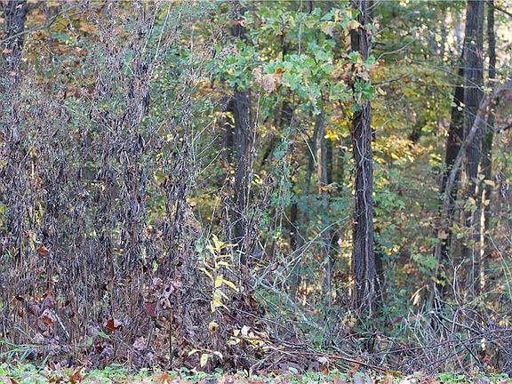 2nd image of Oak Knoll Ln