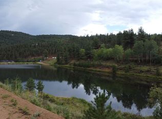312 Marian St, Bailey, CO 80421