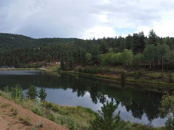 381 Neish Street, Bailey, CO 80421