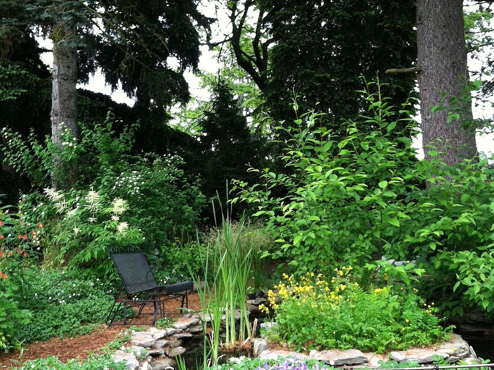 natural ~ iew from kitchen window