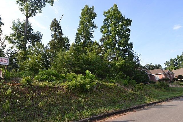 2nd image of 115 Stoney Creek Dr