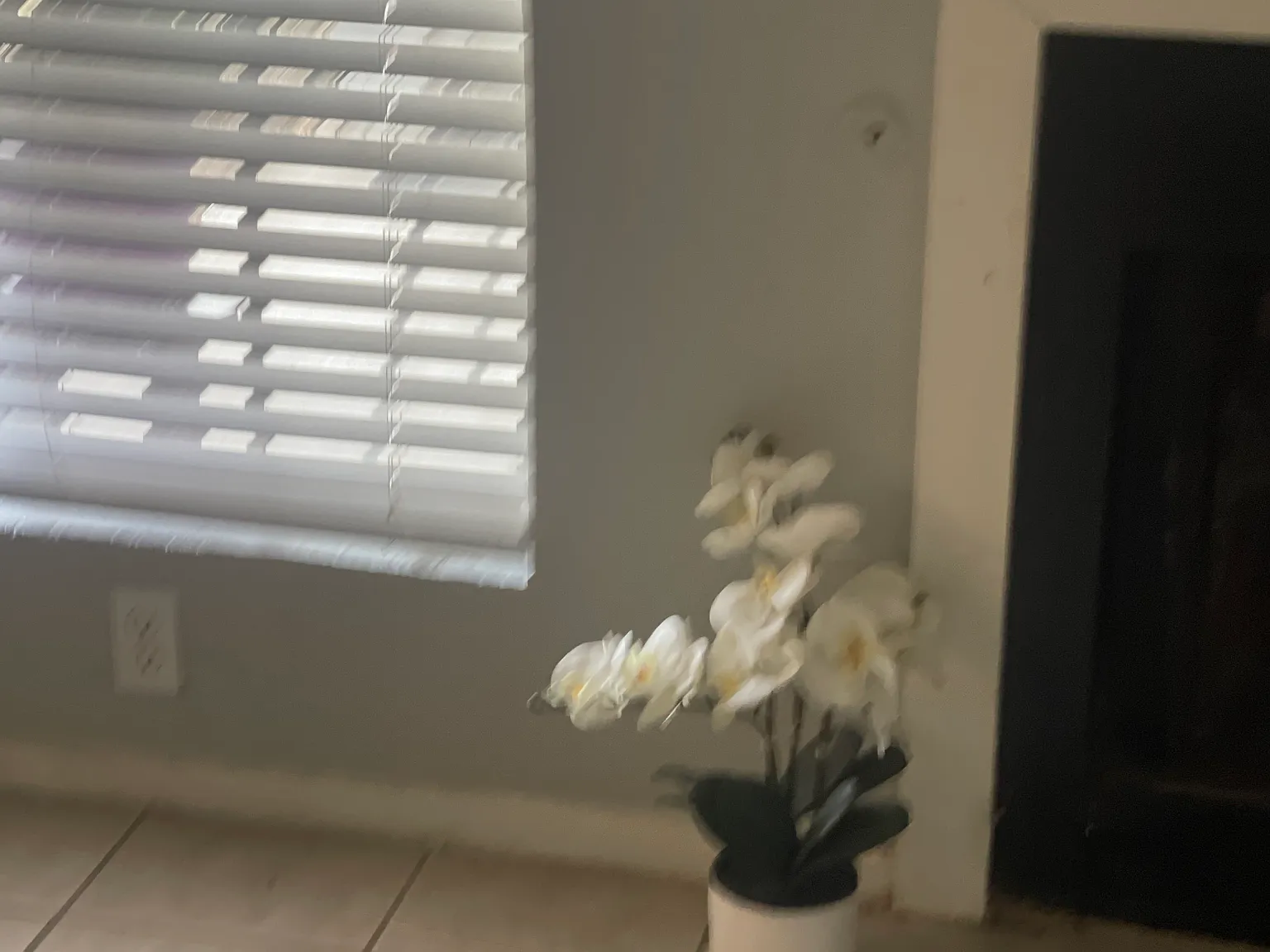 709 Misty Morning Way — Photo 2