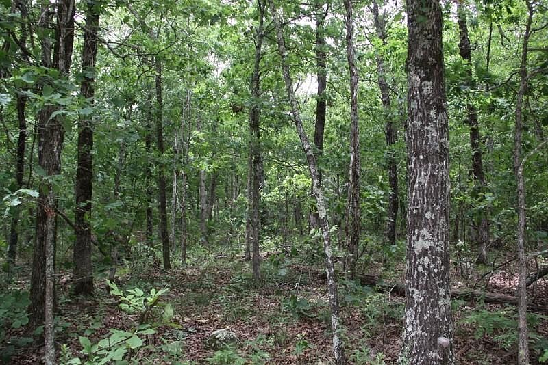 1st image of 8.47 Ac Hwy #7