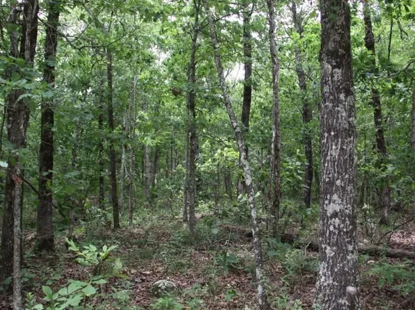 8.47 Ac Hwy #7, Deer, AR 72628