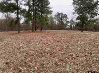 9201 Pleasant Ridge Rd, Frankston, TX 75763