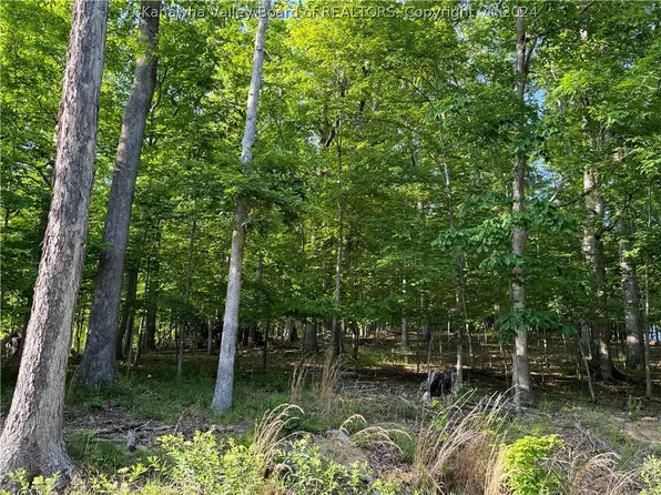 0 Poplar Ests, Scott Depot, WV 25560