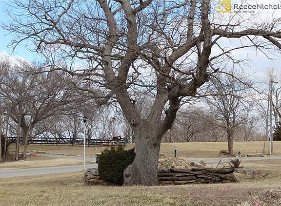 Don't miss this unique and rare 103 yr-old Chestnut Oak with surrounding rock wall.  How many lots have a tree like this one?  It is spectacular!