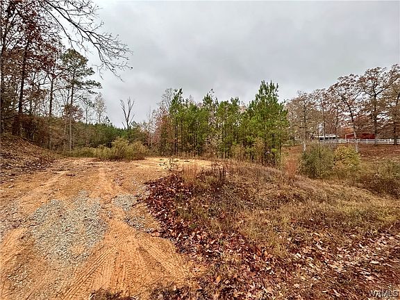 3rd image of Binion Creek Hts
